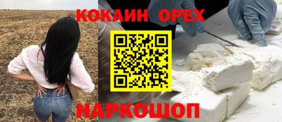 ПСИЛОЦИБИНОВЫЕ ГРИБЫ Коммунар