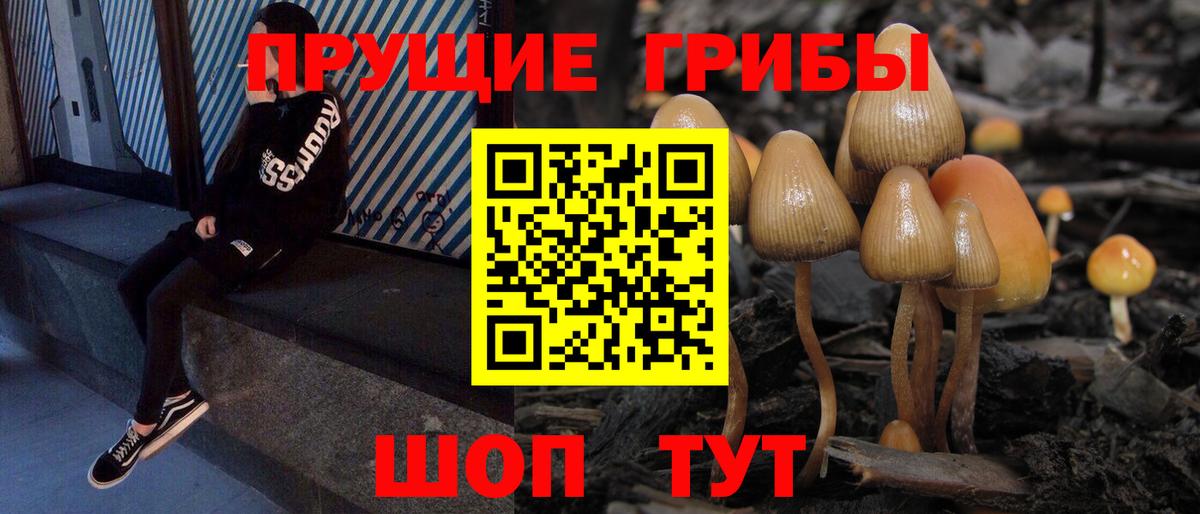 Псилоцибиновые грибы Psilocybine cubensis  Вход с VPN  Костомукша  Галлюциногенные грибы GOLDEN TEACHER 