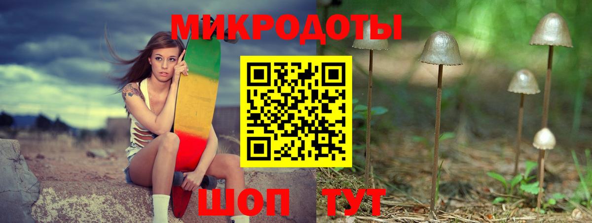 Галлюциногенные грибы прущие грибы Костомукша