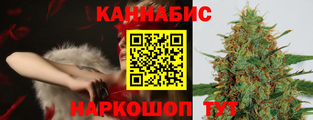 Бошки марихуана план  Вход с VPN  МАРИХУАНА сатива  Костомукша  Бошки Шишки конопля  Канабис гибрид 